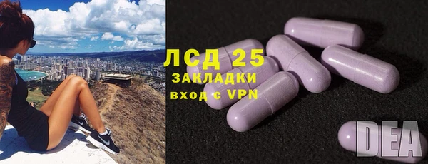 прущие крисы Аркадак