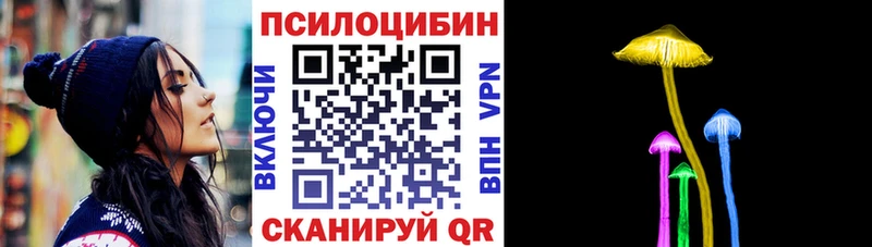 Псилоцибиновые грибы GOLDEN TEACHER  наркошоп  OMG ссылка  Балтийск 